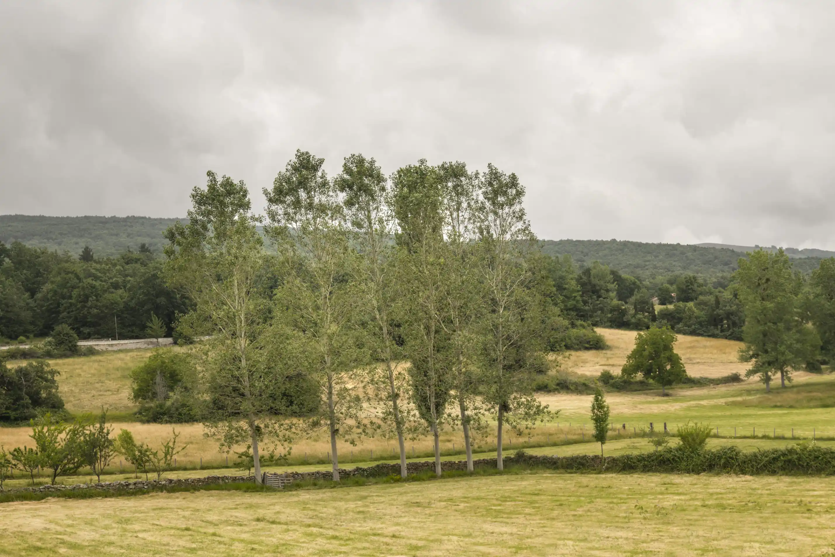 {{ $t('foto_habitacion')}}