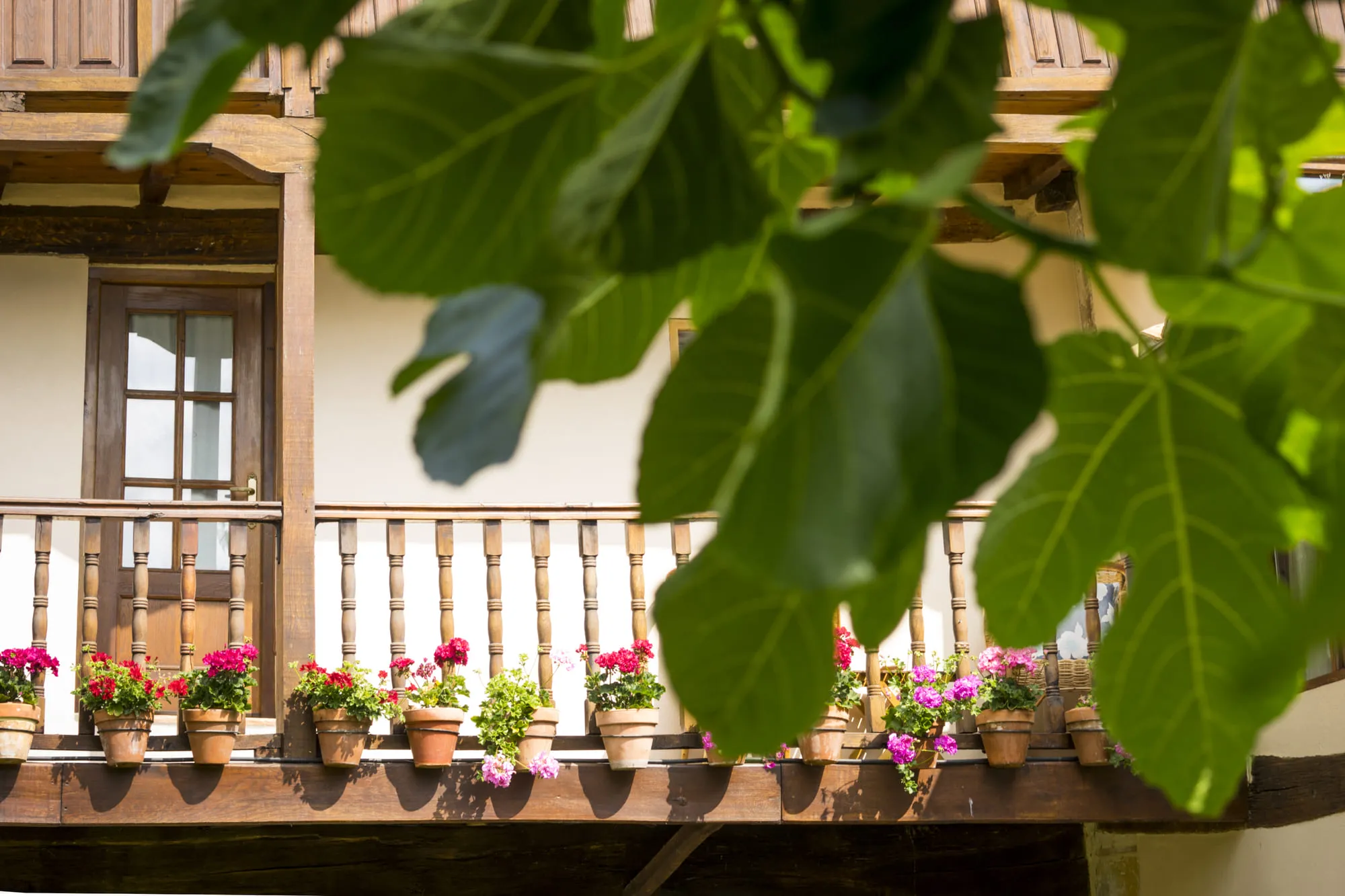 {{ $t('foto_habitacion')}}