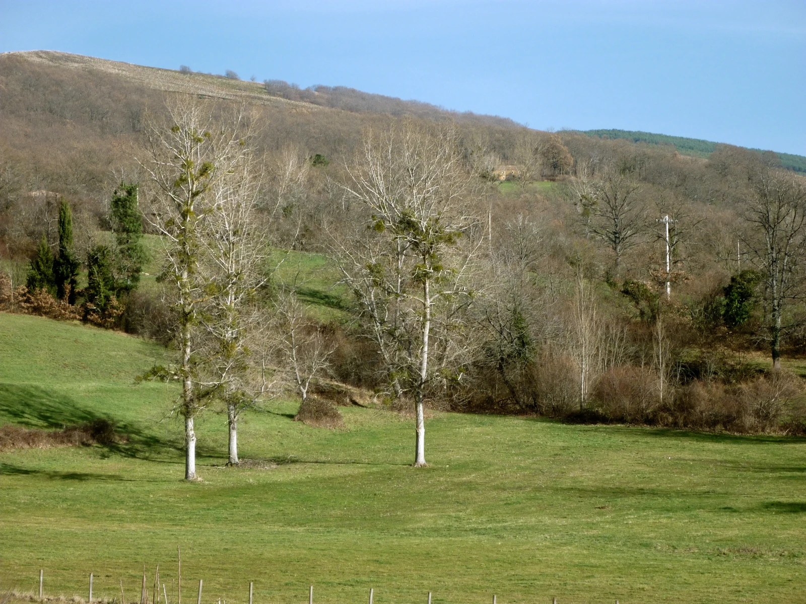 {{ $t('foto_habitacion')}}