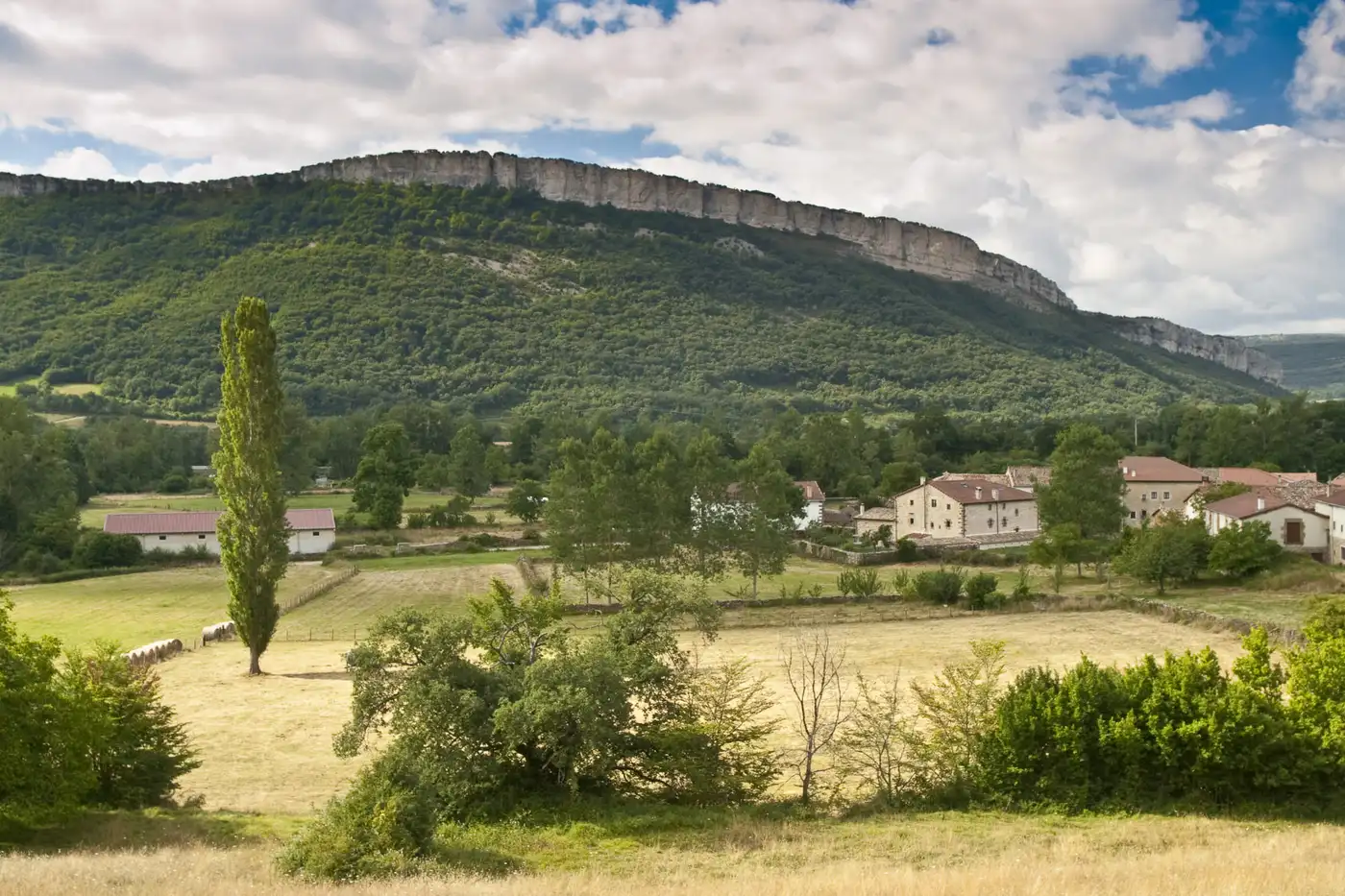 {{ $t('posada_con_monte')}}