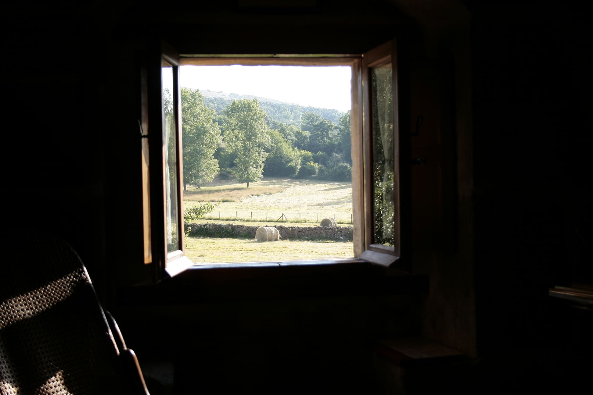 holly window